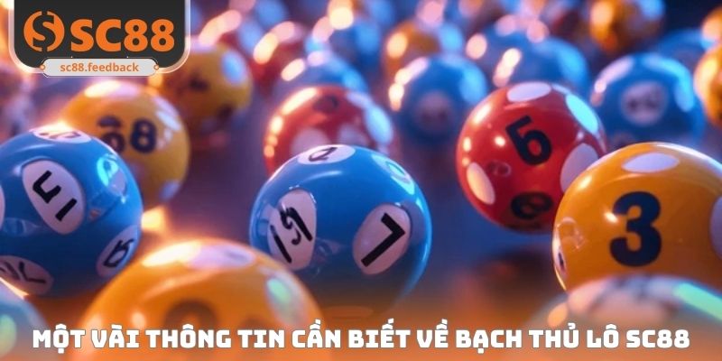 Một vài thông tin cần nắm được về cách chơi bạch thủ lô SC88