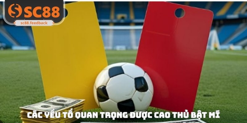 Các yếu tố quan trọng được cao thủ bật mí