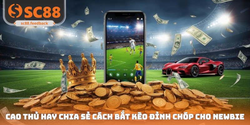 Cao thủ hay chia sẻ cách bắt kèo đỉnh chóp cho newbie