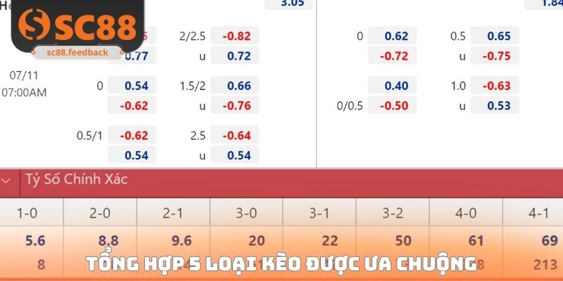 Tổng hợp 5 loại kèo được ưa chuộng