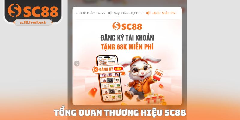 Tổng quan thương hiệu SC88