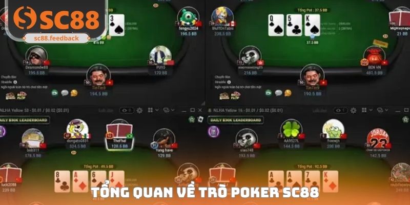 Tổng quan về trò Poker SC88