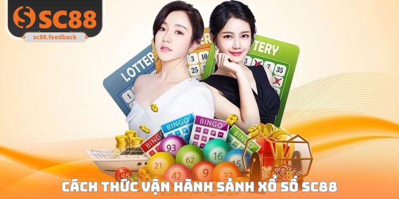 Cách vận hành mục xổ số nhà cái ổn định minh bạch